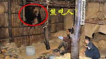 日本电影食人屋,暗黑料理背后的惊悚真相