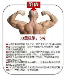 人体阴唇日本,探寻女性私密部位的独特魅力与生理奥秘