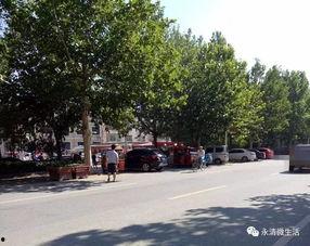 吉林蛟河路霸最新爆料,揭露惊人内幕