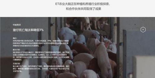 完全饲养在线播放,揭秘神秘宠物世界的奇幻之旅